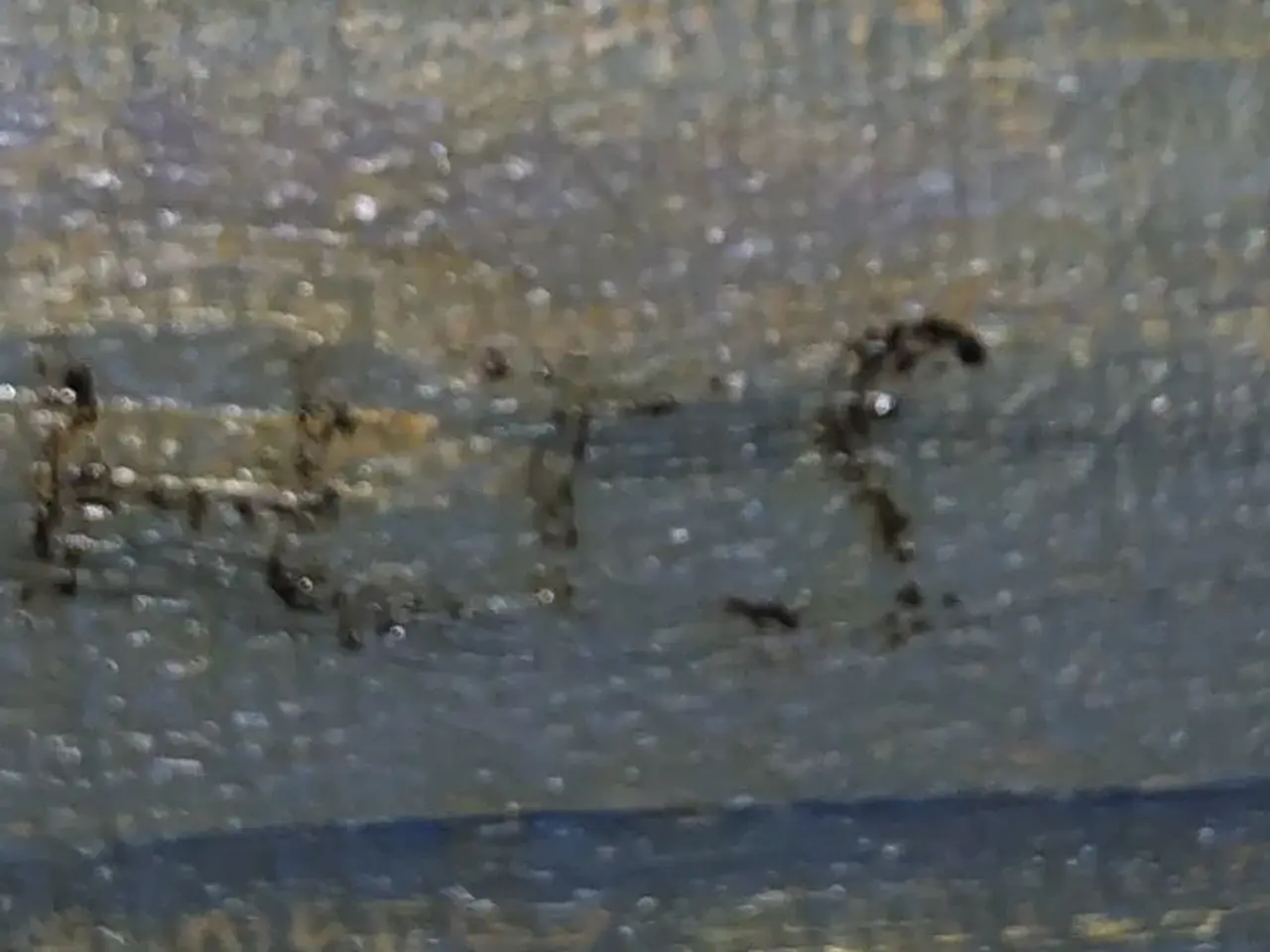 Billede 3 - Malerier af kunstner