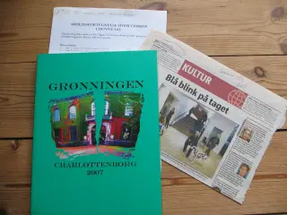 Grønningen 2007