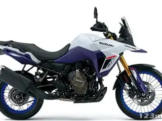 Suzuki DL 800 DE V-Strom