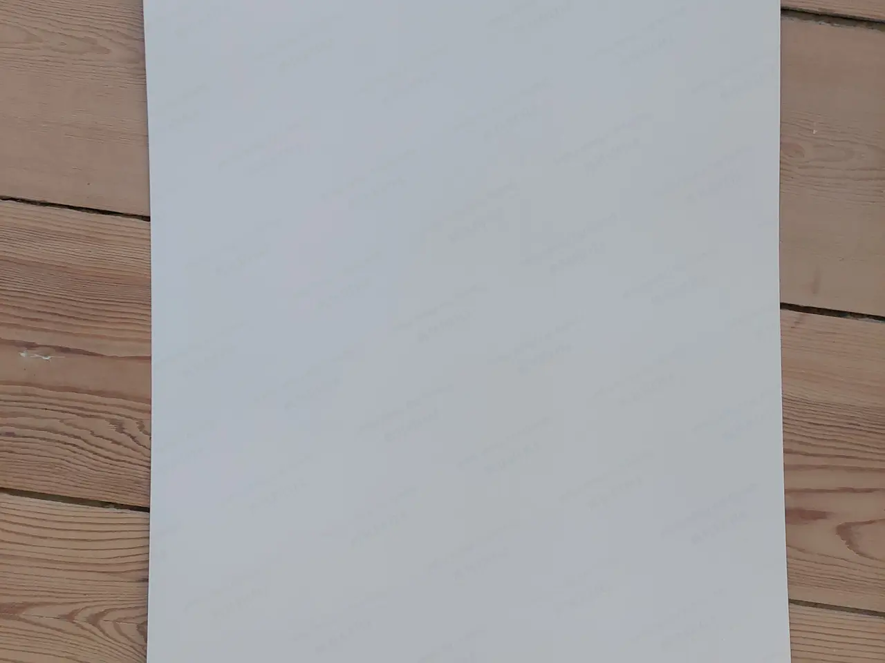Billede 2 - Unik Vejrfrøen Froggy Plakat – 30,5 x 50,5 cm