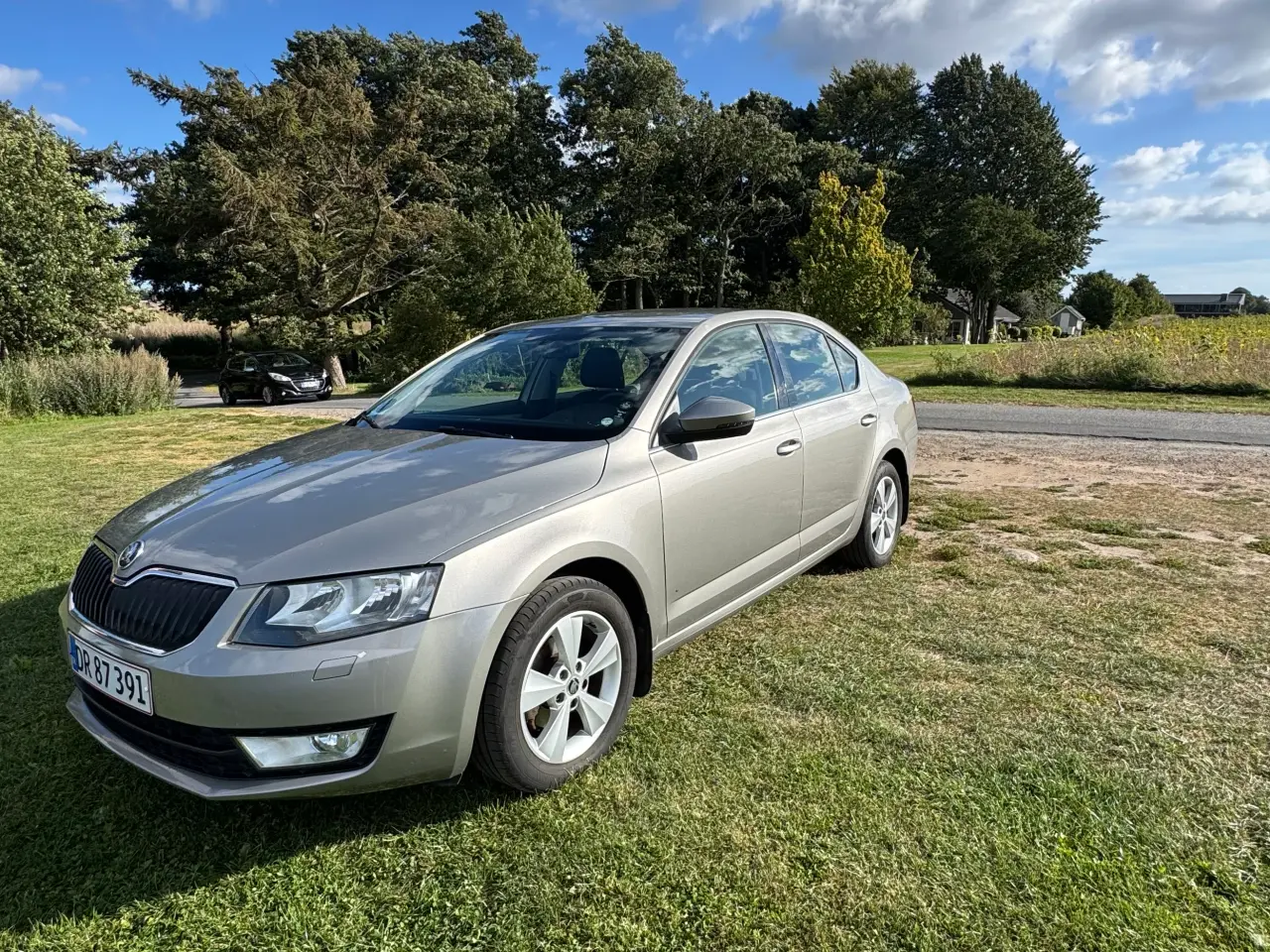 Billede 1 - Skoda Octavia 1,2 tsi