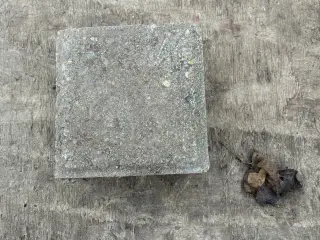 Grå beton kopsten/brosten