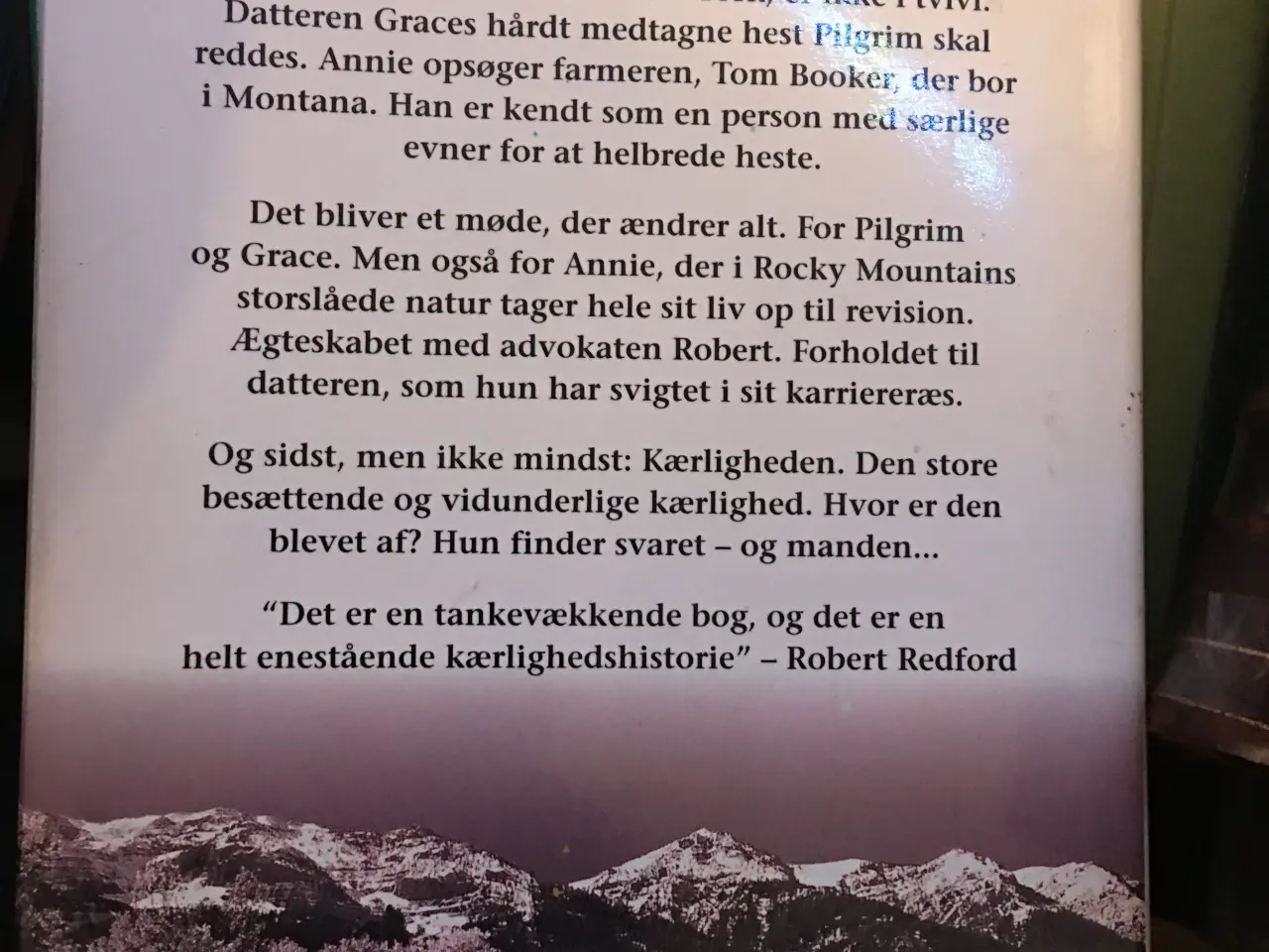 Billede 2 - Hestehviskeren