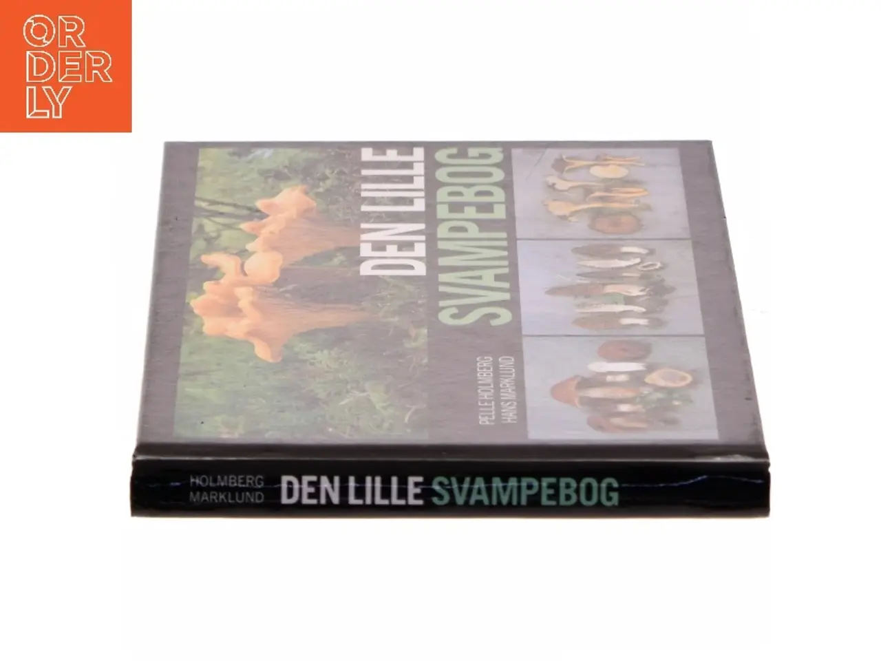 Billede 2 - Den lille svampebog af Pelle Holmberg (Bog)