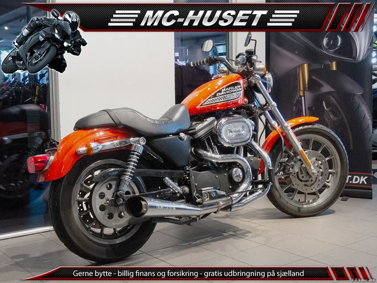 Billede 2 - Harley-Davidson XL883 Standard 100th Year Anniversary