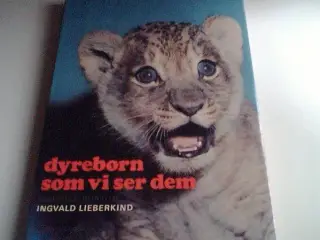 Dyrebørn