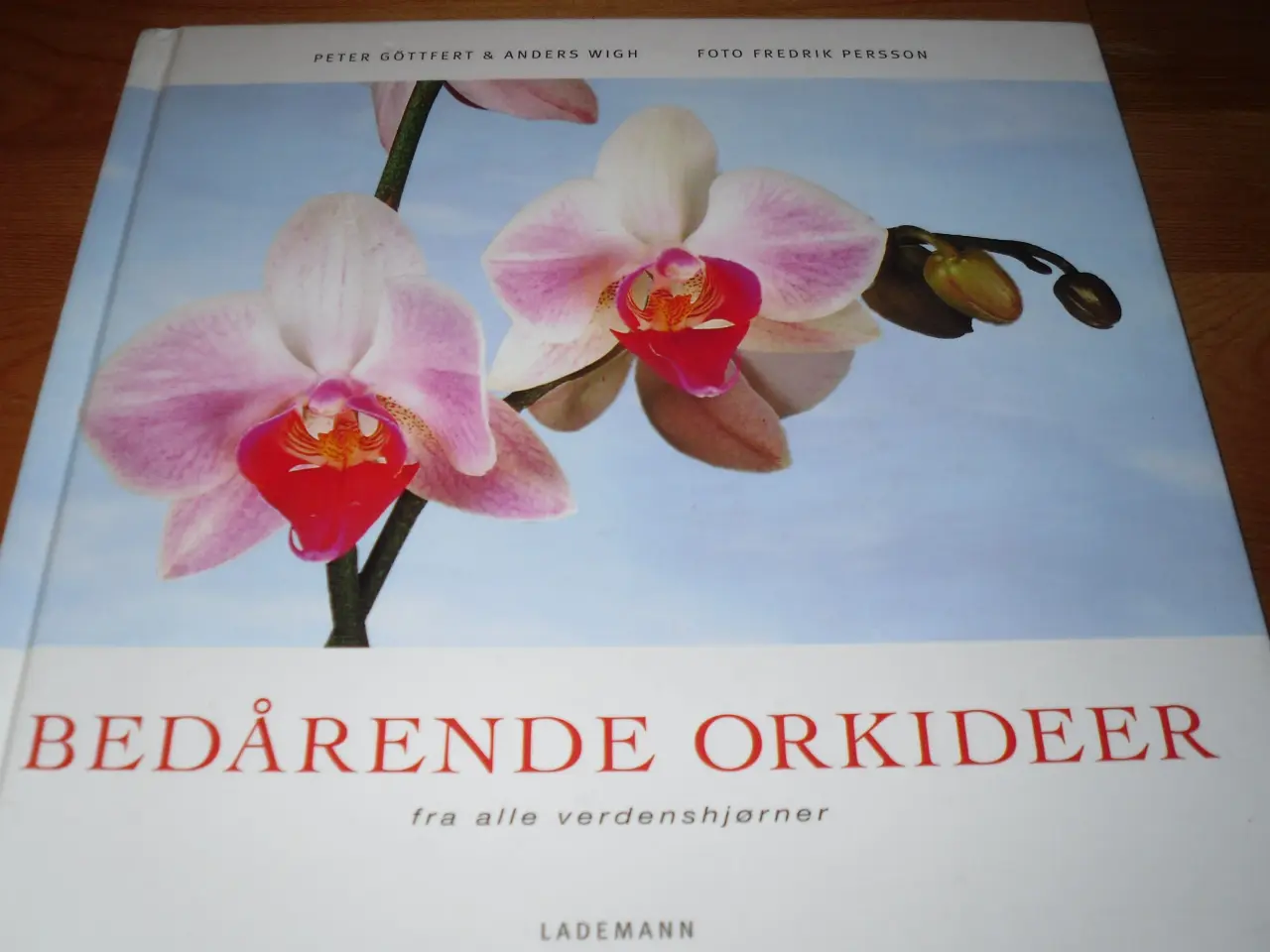 Billede 1 - Bedårende ORKIDEER.