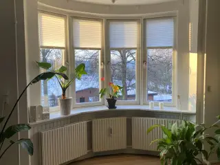 Lejlighed i Aalborg Vestby