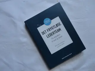 Det Frygtløse Lederteam :