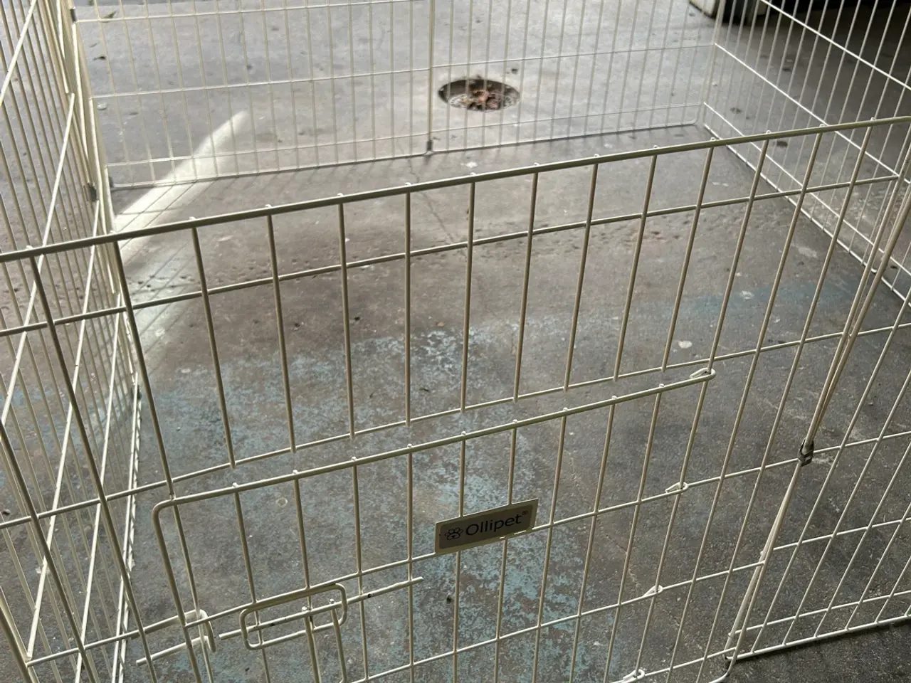 Billede 2 - Kravlegård til hundehvalpe