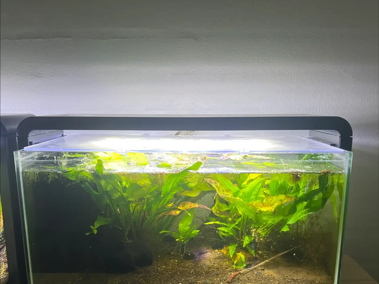 Billede 1 - Små akvarier