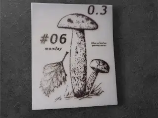 Mykologisk Mesterværk – svampeillustration med tek