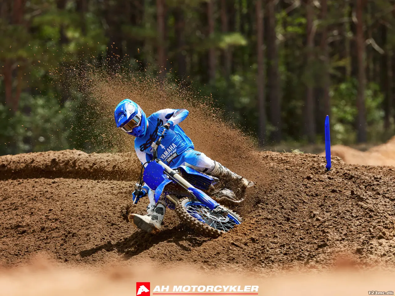 Billede 12 - Yamaha YZ 450 F