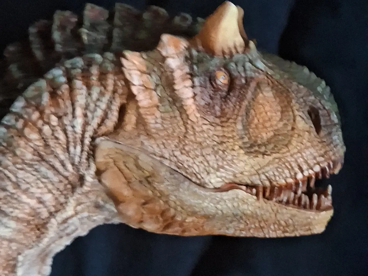 Billede 1 - Dinosaur Bust  Damtoys