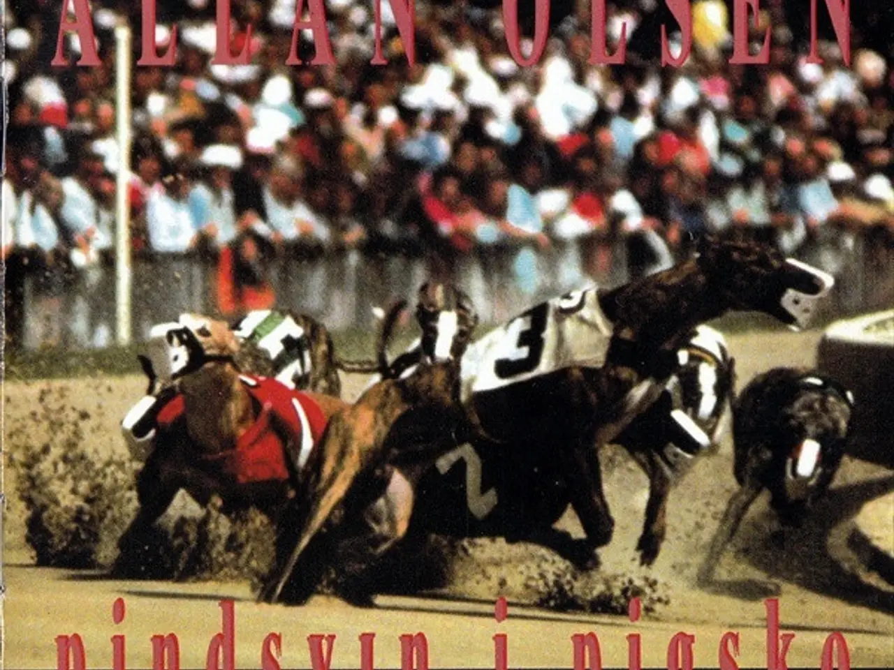 Billede 1 - Allan Olsen – Pindsvin I Pigsko – CD