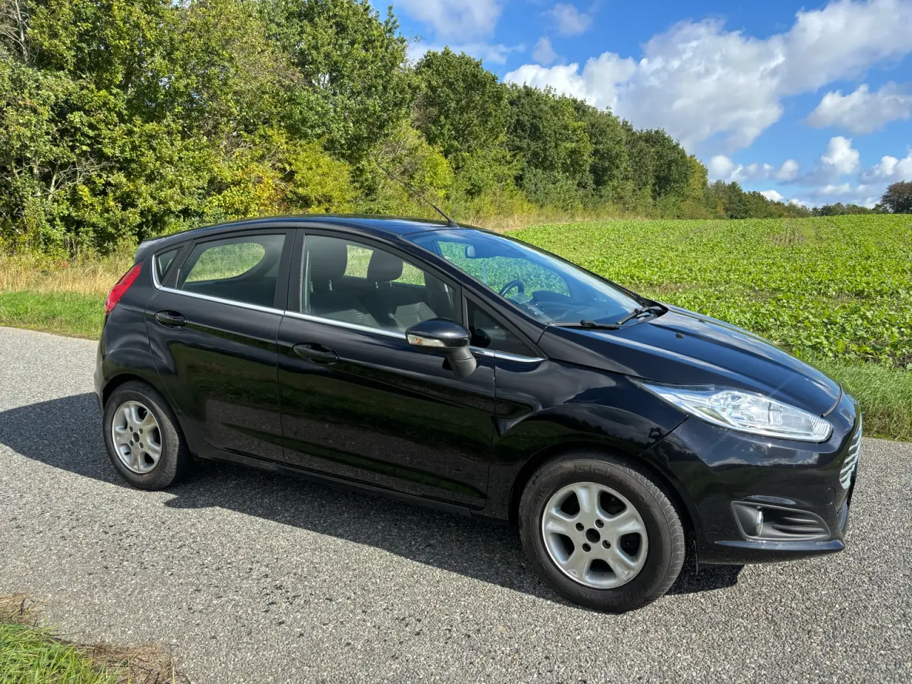 Billede 2 - Nysynet Ford Fiesta 1.0 EcoBoost Titanium 100 hk