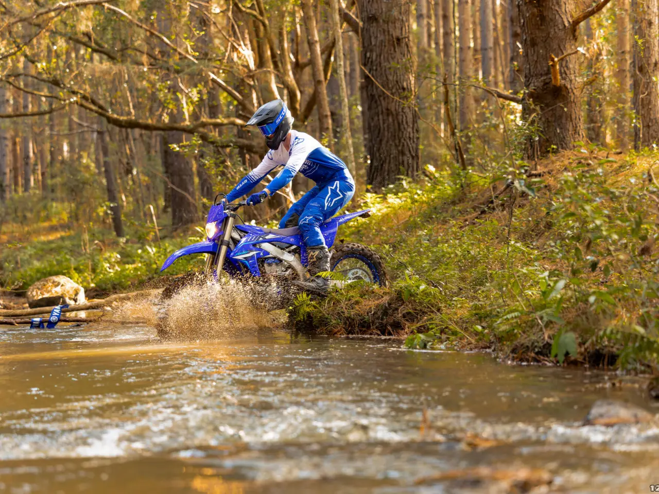Billede 6 - Yamaha WR 250 F