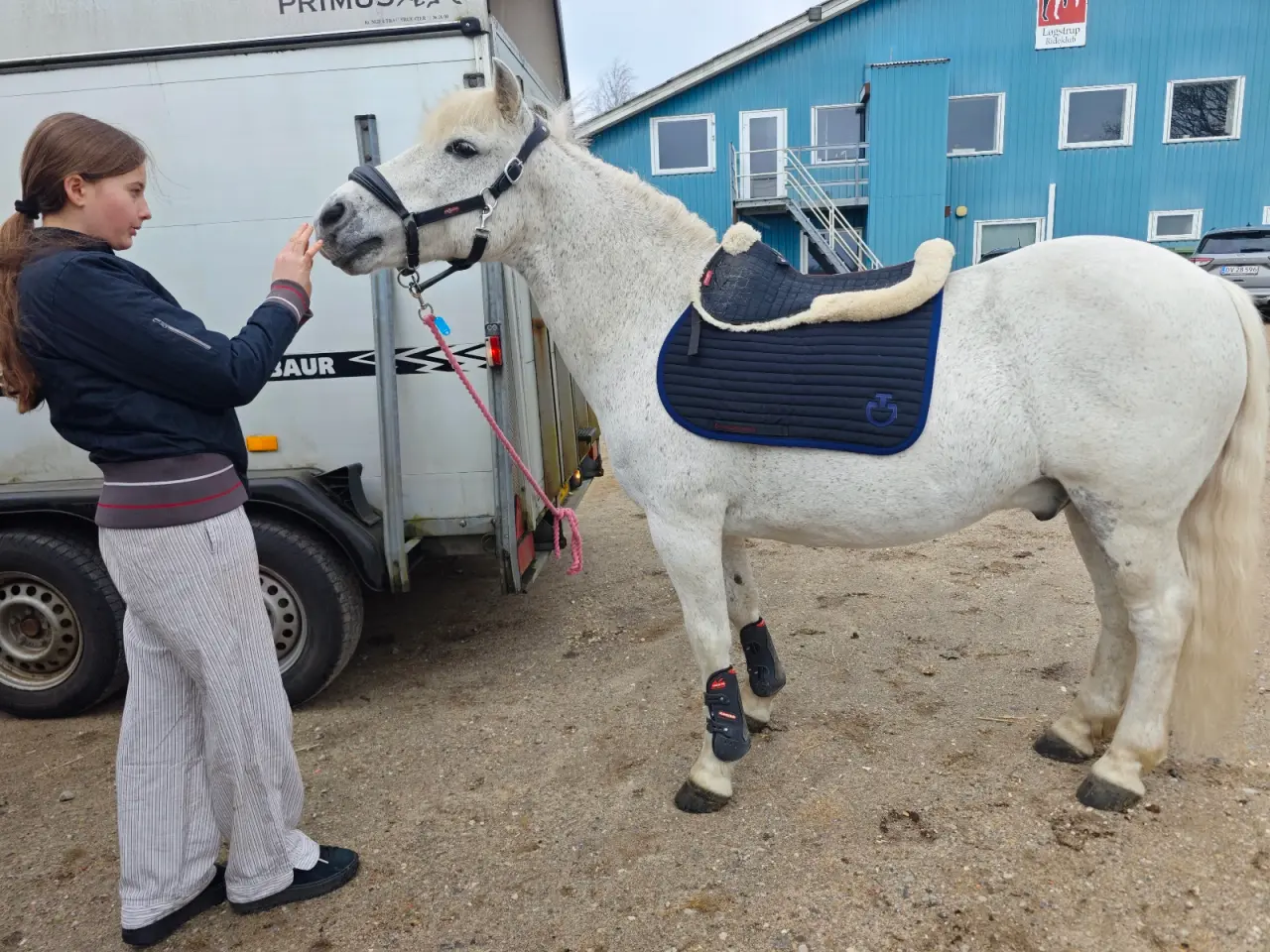Billede 10 - Allround pony, en ny bedste ven
