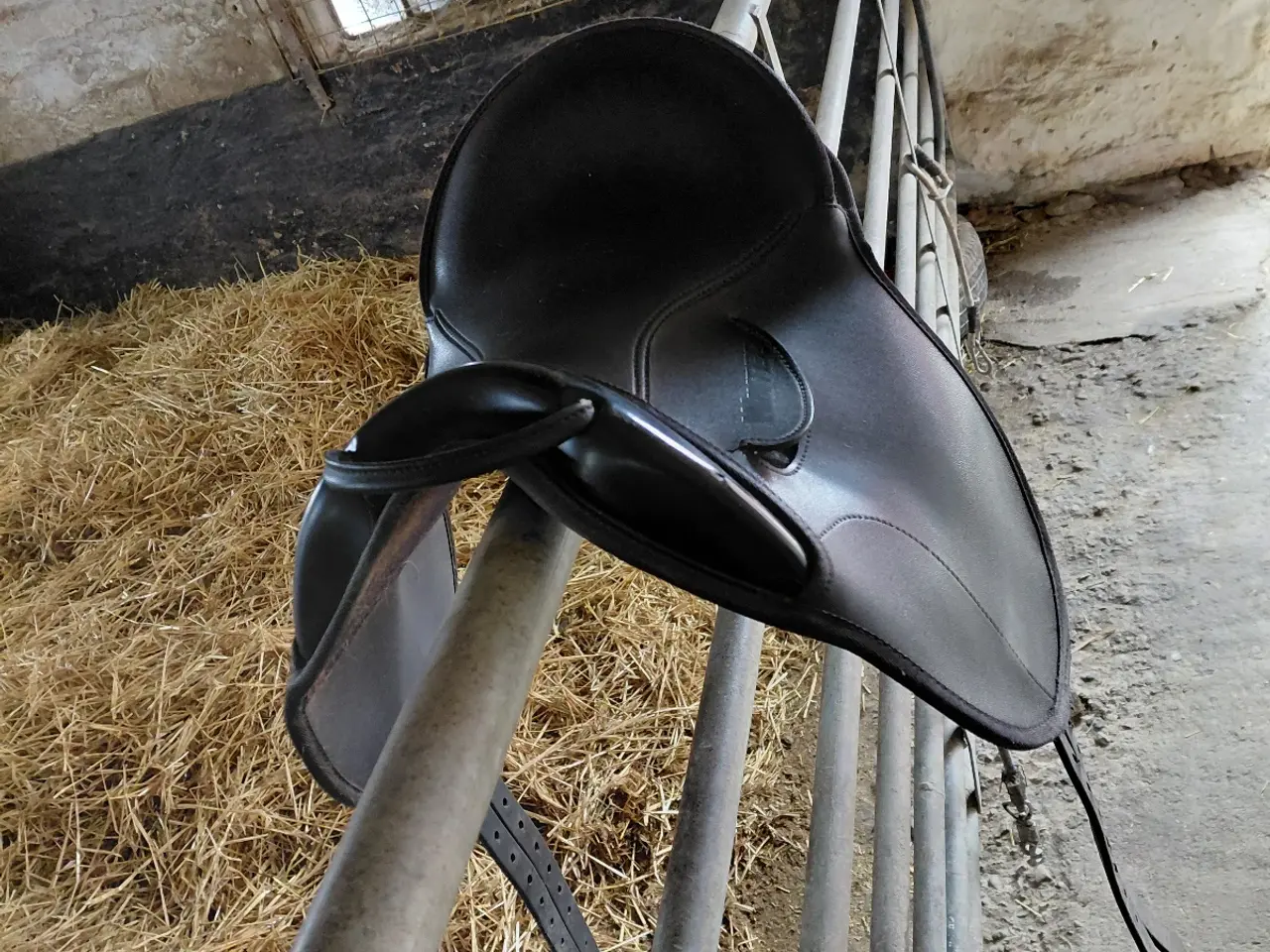 Billede 2 - Wintec ponypude