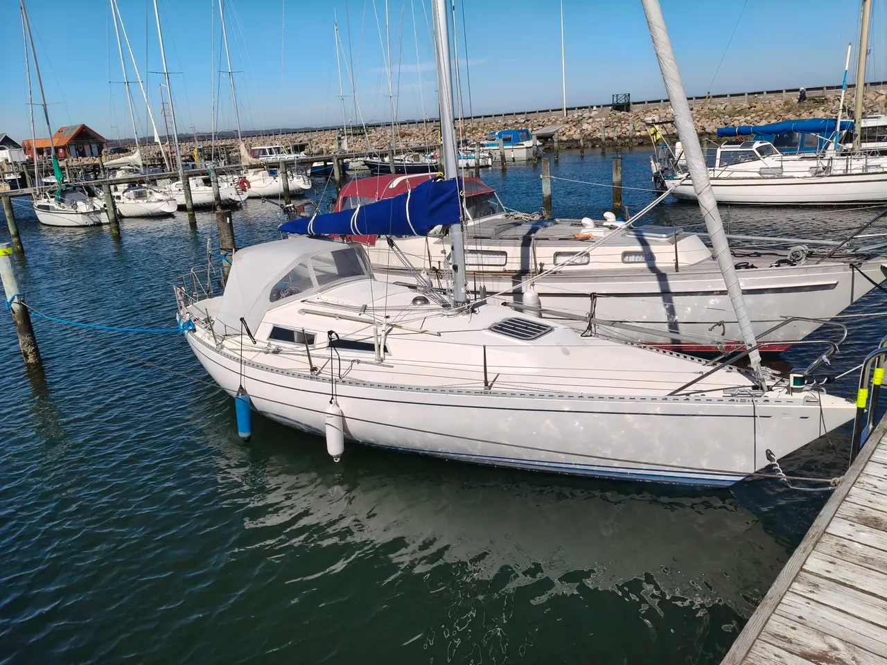 Billede 2 - Omega 28