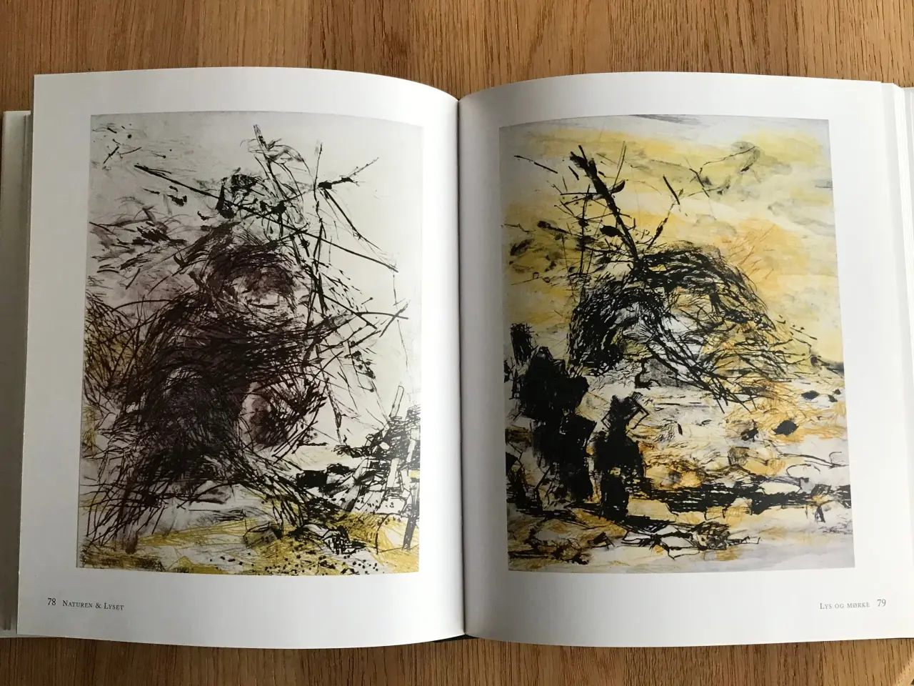 Billede 2 - Naturen & Lyset Anita Houvenaeghel