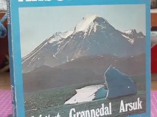 Arsukfjorden, Ivigtut, Grønnedal, Arsuk
