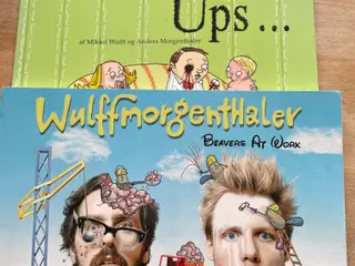Wulffmorgenthaler se tekst