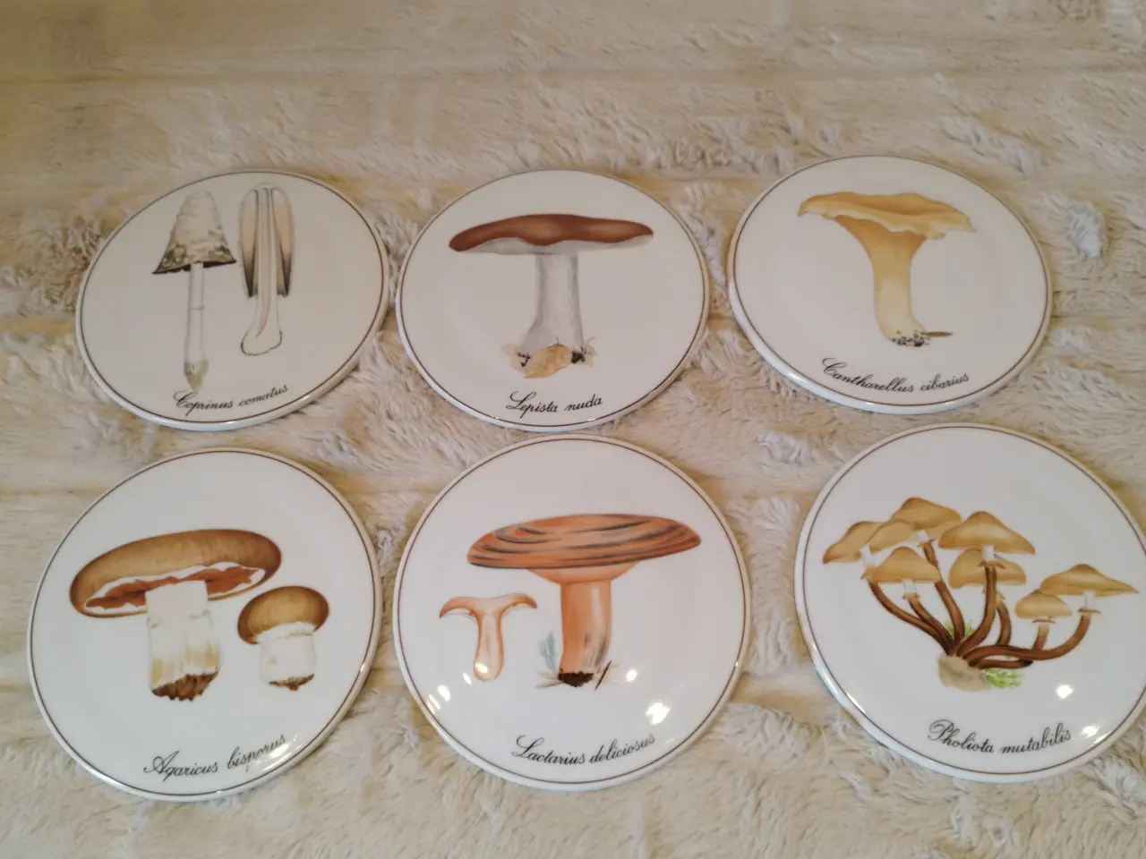 Billede 2 - Platter svampe B&G samlet pris