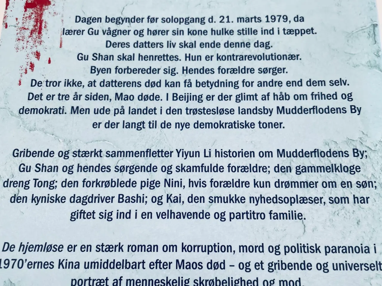 Billede 6 - De hjemløse - Yiyun LI