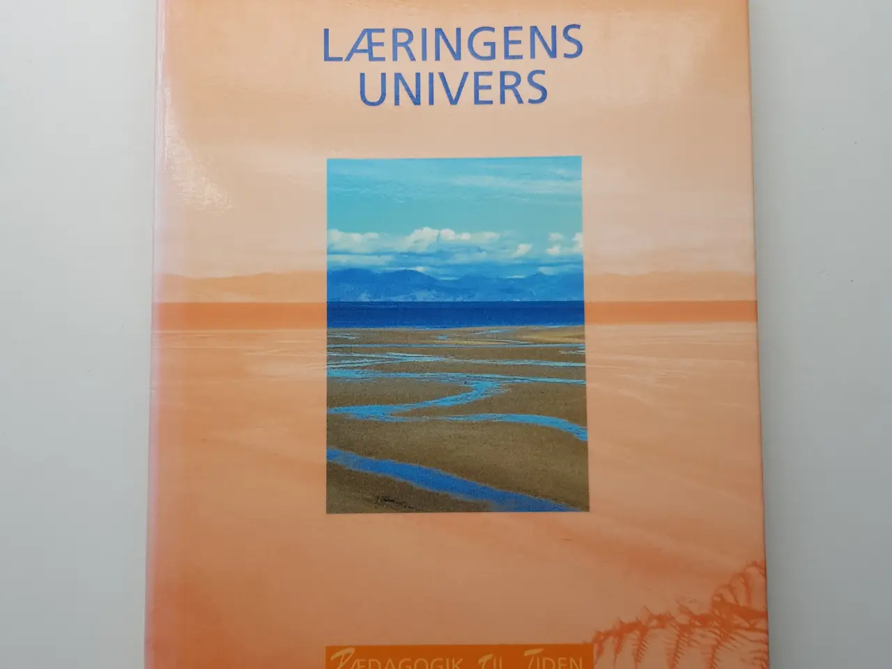 Billede 1 - Læringens univers