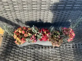 Blomsterdekoration i sjov opsats