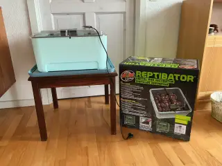 Repitibator digital egg