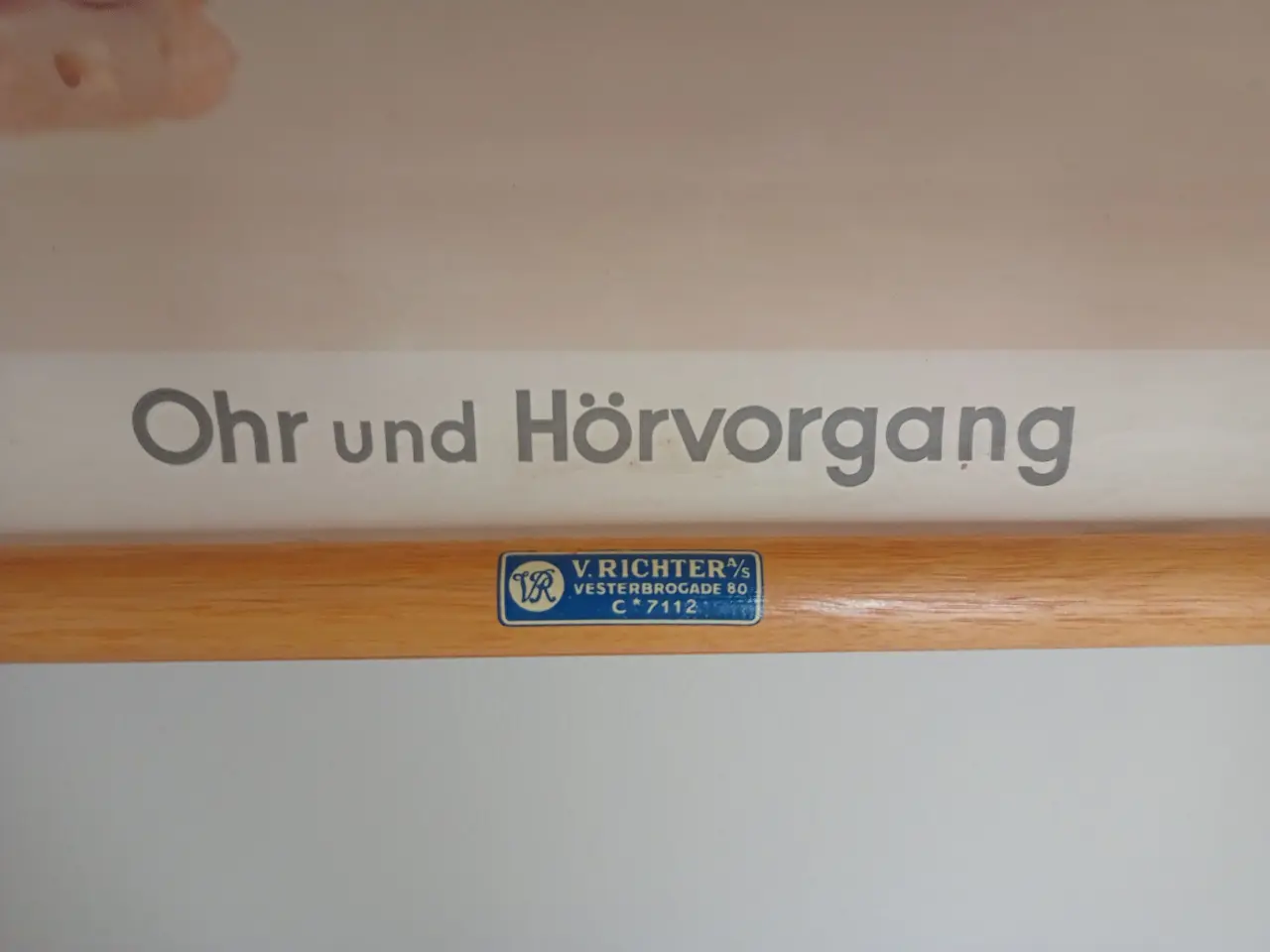 Billede 3 - Anskuelsesplanche/anskuelsesplakat