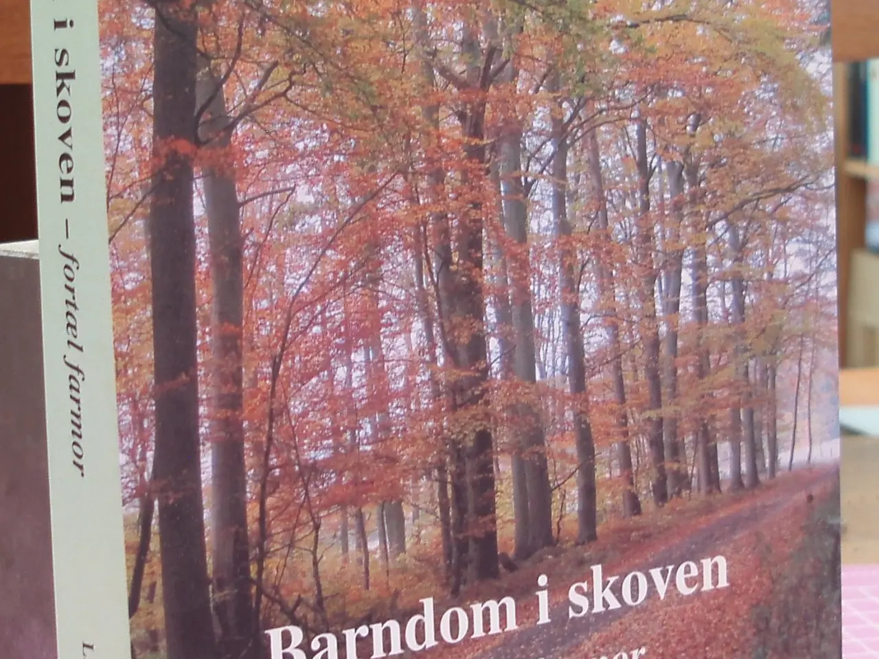 Billede 1 - Barndom i skoven -fortæl farmor