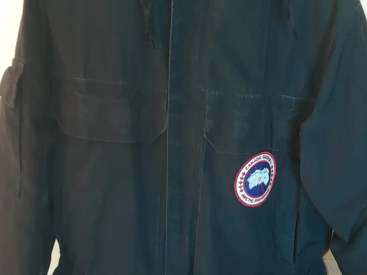 Billede 1 - Canadian goose expedition