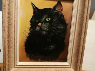 Katten med de grønne øjne byd gerne