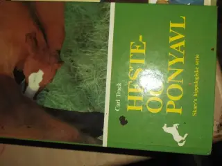 Heste og ponyavl