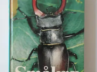 Småkræ Sommerfugle, guldsmede, biller, snegle