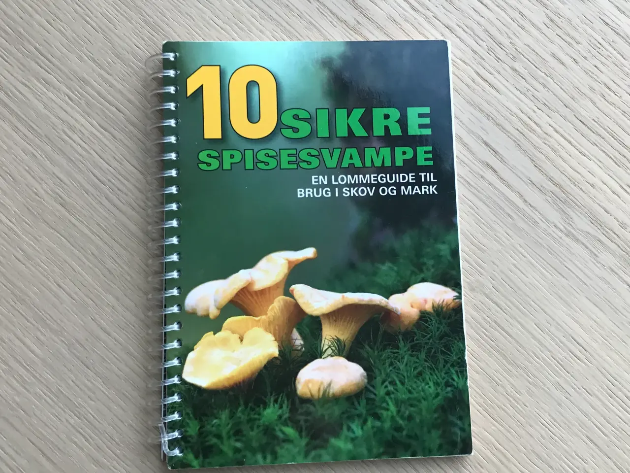 Billede 1 - 10 sikre spisesvampe - en lommeguide