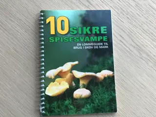 10 sikre spisesvampe - en lommeguide