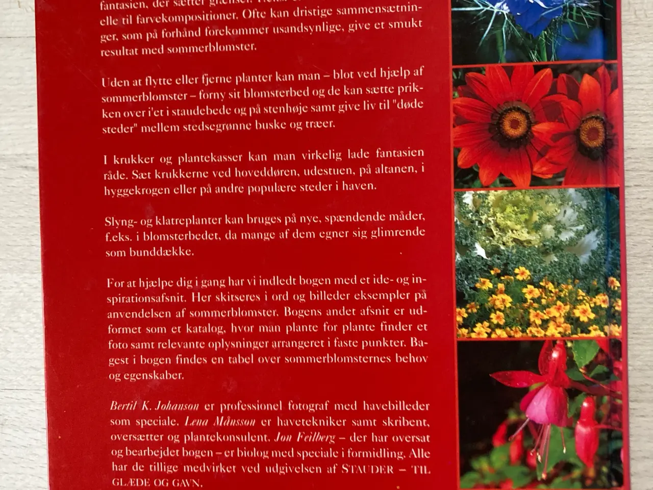 Billede 2 - Sommerblomster, Lena Månsson & Bertil K. Johansen
