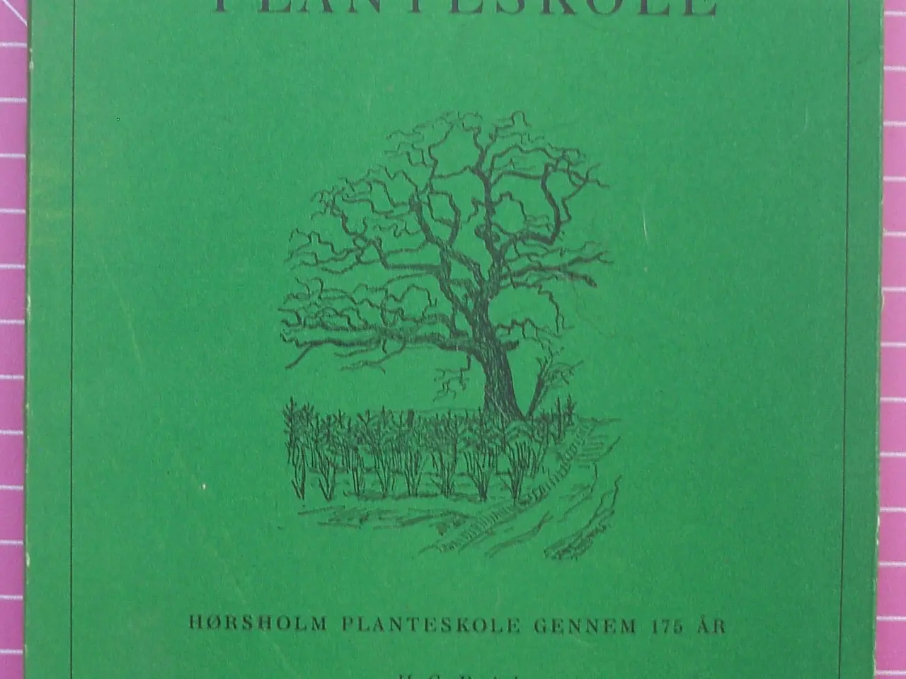 Billede 1 - Den Gamle Planteskole
