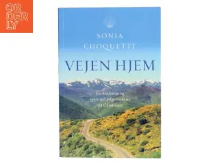 Vejen hjem : en healende og spirituel pilgrimsrejse på Caminoen af Sonia Choquette (Bog)