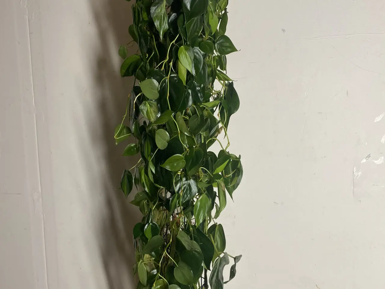 Billede 3 - Genbrugs Planter