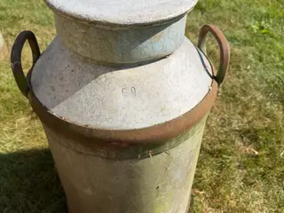 Mælkejunge