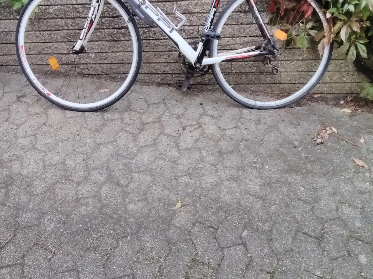 Billede 2 - 