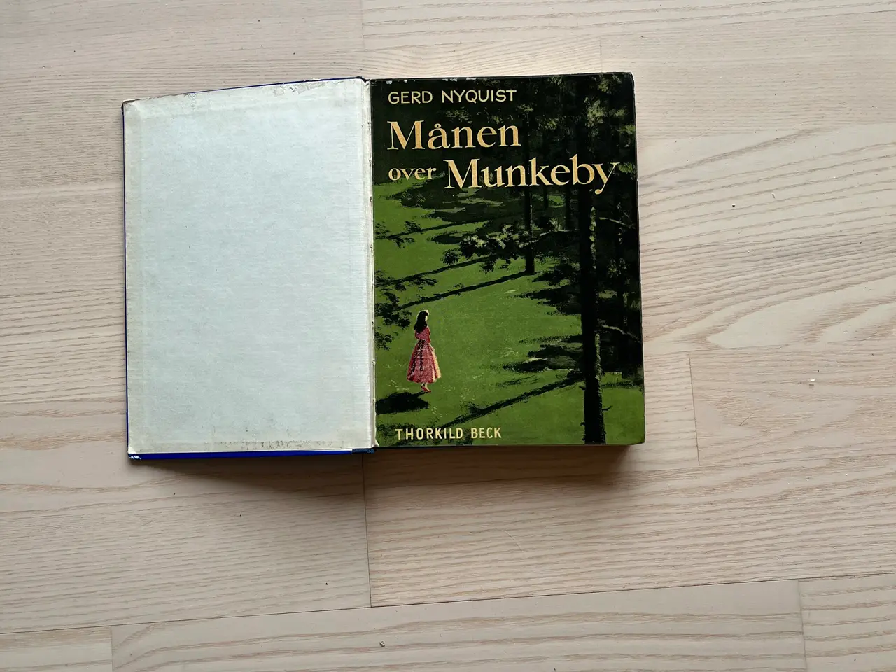 Billede 1 - Månen over Munkebjerg - af Gerd Nyquist
