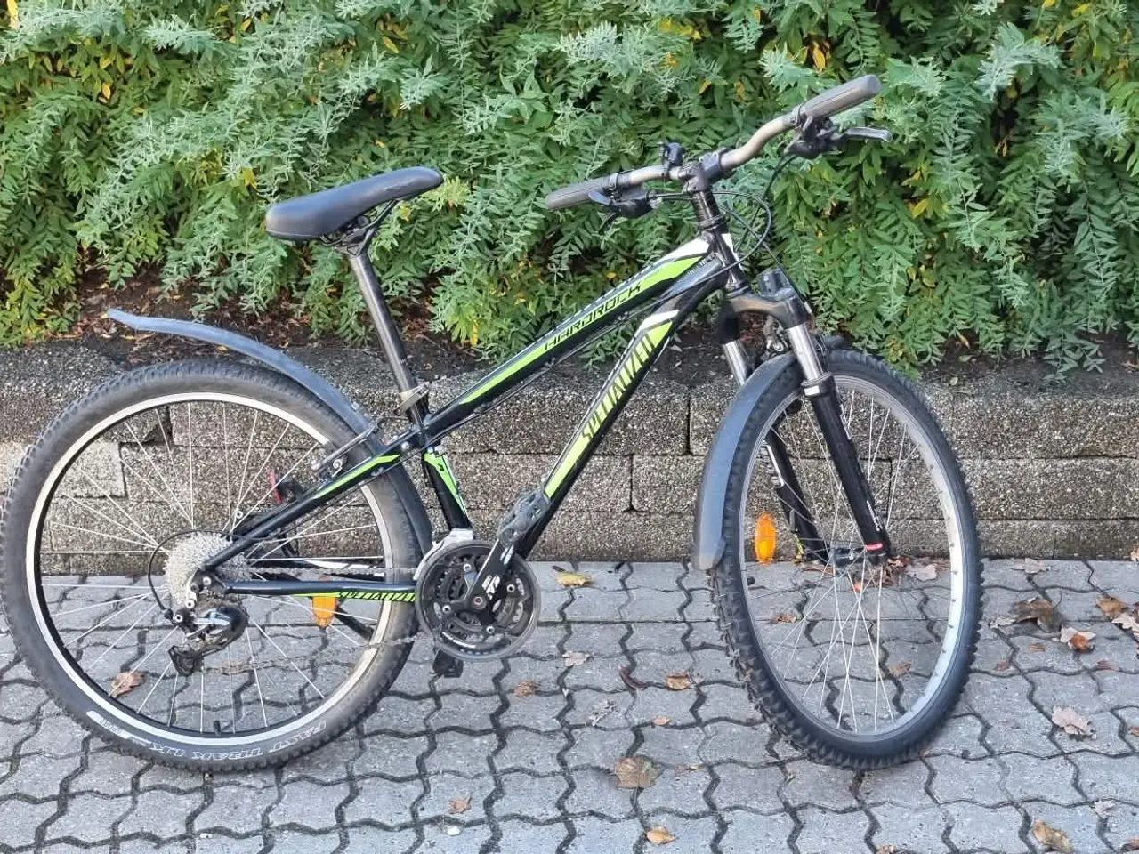 Billede 5 - Blandende cykler