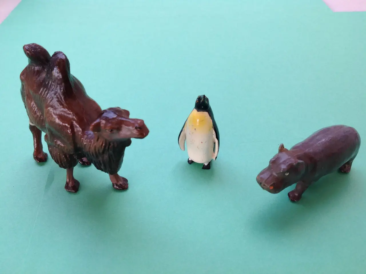 Billede 5 - Spændende zoologiske dyr.