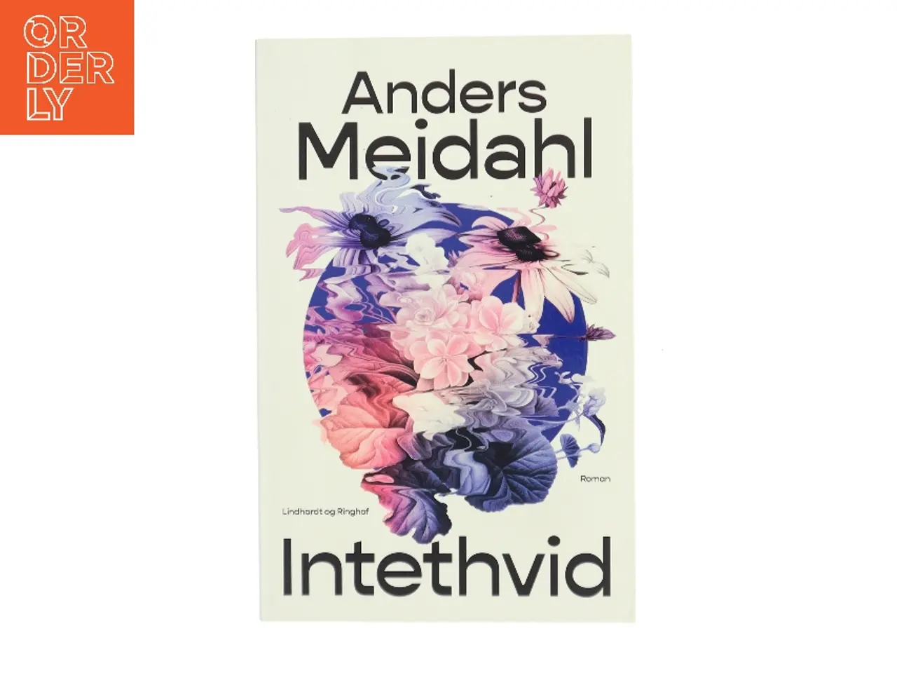 Billede 1 - Intethvid : roman af Anders Christian Meidahl (Bog)